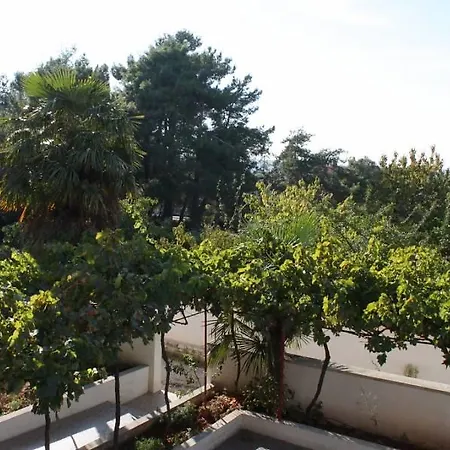 Borik 996 Apartment